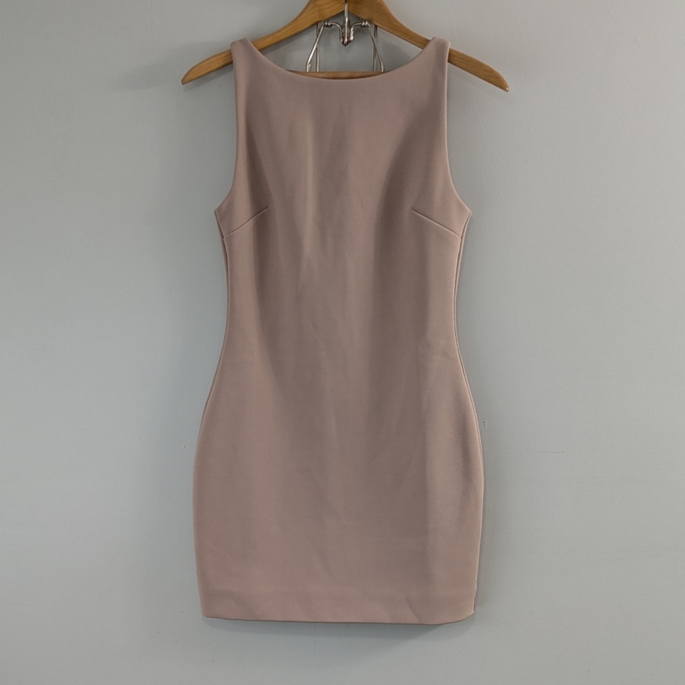 Babaton Mini Dress in Blush Pink